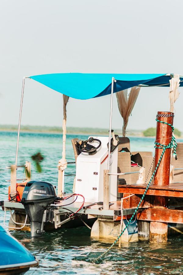 Blue Bird Ξενοδοχείο Bacalar Εξωτερικό φωτογραφία